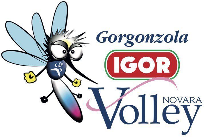 volley-femminile-agil-volley-logo